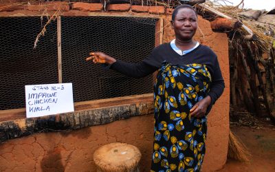 Ungweru’s Sustainable Agricultural Project Lifts Mchilawengo Out of Poverty