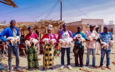 Ungweru Organisation Distributes Pigs and Chickens at Mtende Community