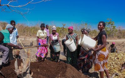 Empowering Farmers Through Manure Making Training at Mtende Community